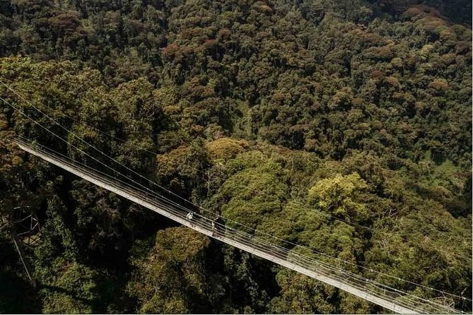 Nyungwe Canopy Walk