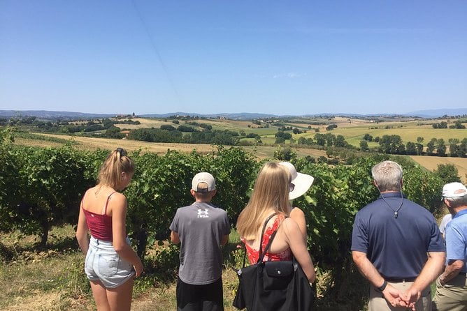 Tuscan Olive Oil Tasting in Arezzo