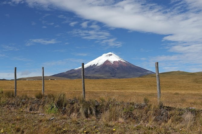 Ecuador Highlights