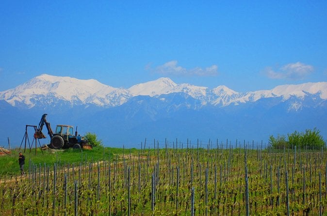 Shamakhi Wine Tour