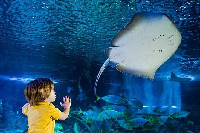 SEA LIFE Manchester