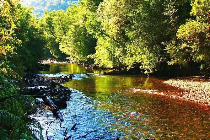 Alerce Andino National Park Trek