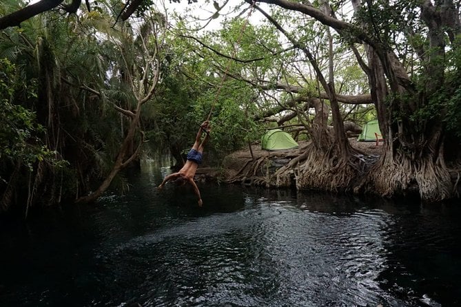 Kikuletwa Hot Springs Day Trip