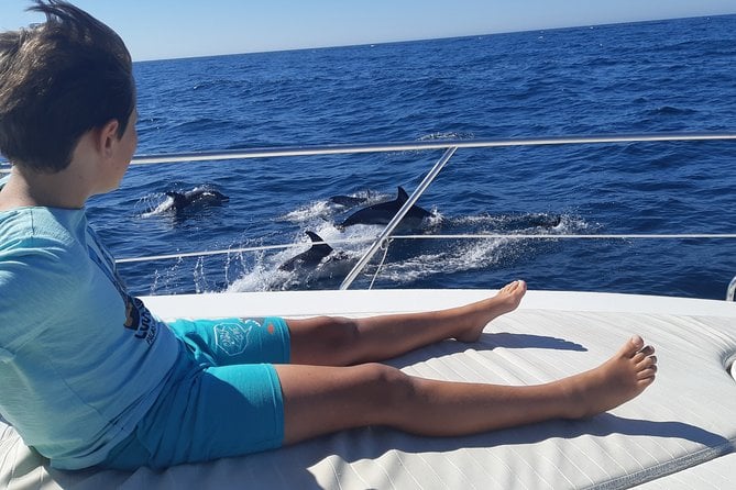 Malaga Dolphin Watching