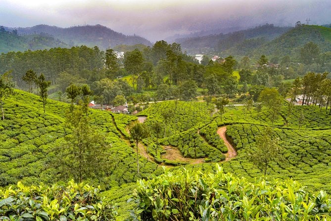 Scenic Kerala 7-Day Tour