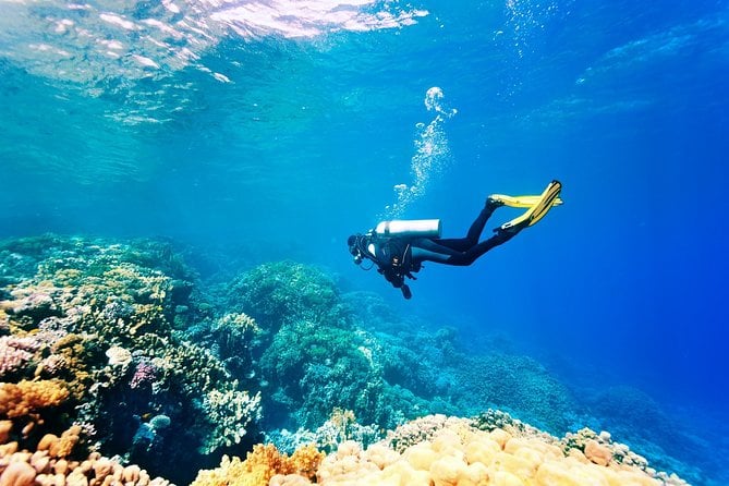 Kusadasi Scuba Diving