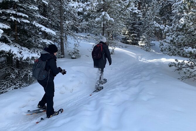 Rocky Mountains Snowshoeing