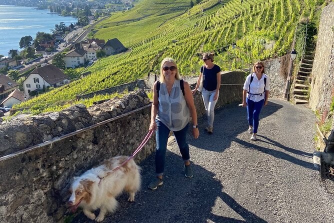 Lavaux Vineyard Cruise