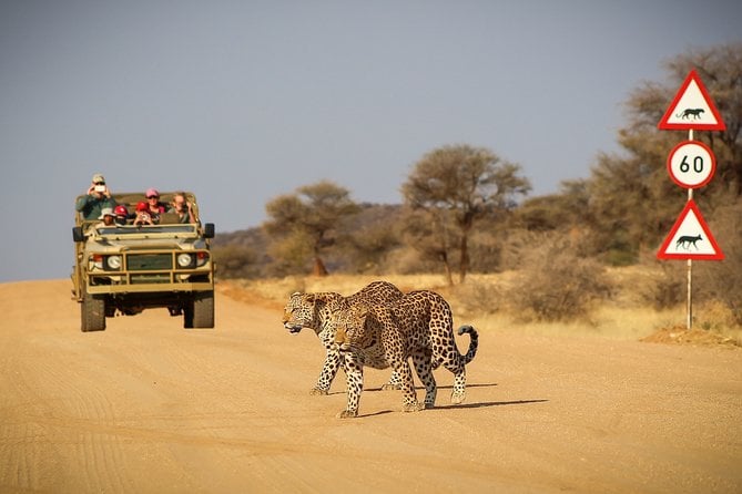 Namibia Safari in Windhoek