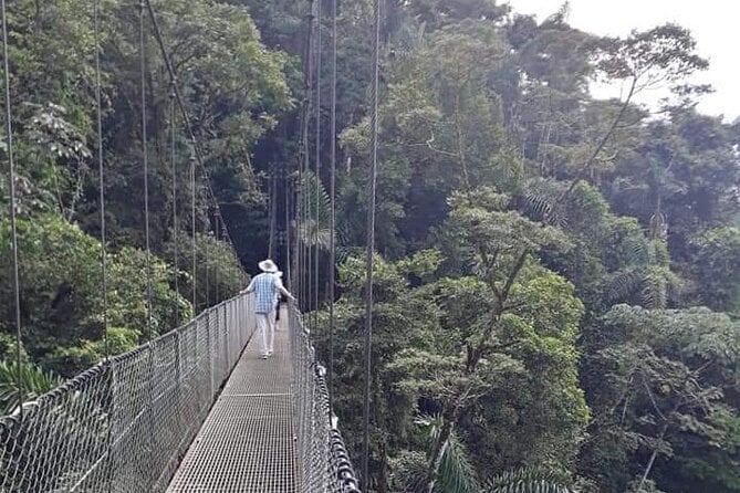 Arenal Hanging Bridges Tour