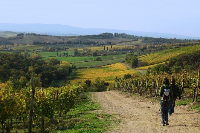 Siena Day Trip: Chianti & History