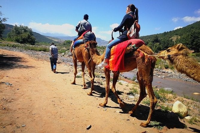 Atlas Mountains & Berber Villages Tour