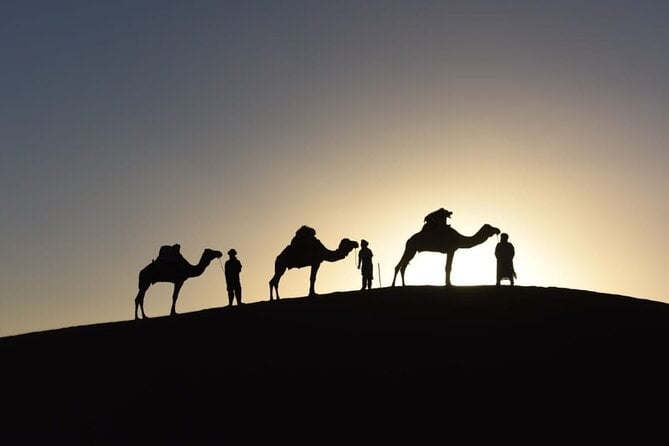 Marrakech Camel Ride