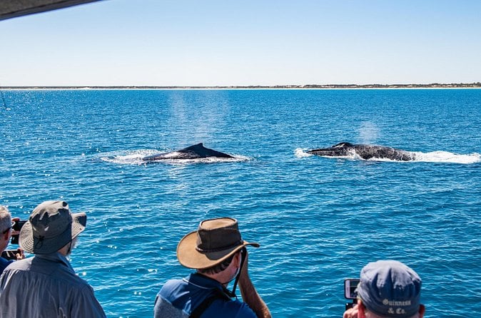 Broome Sunset Cruise