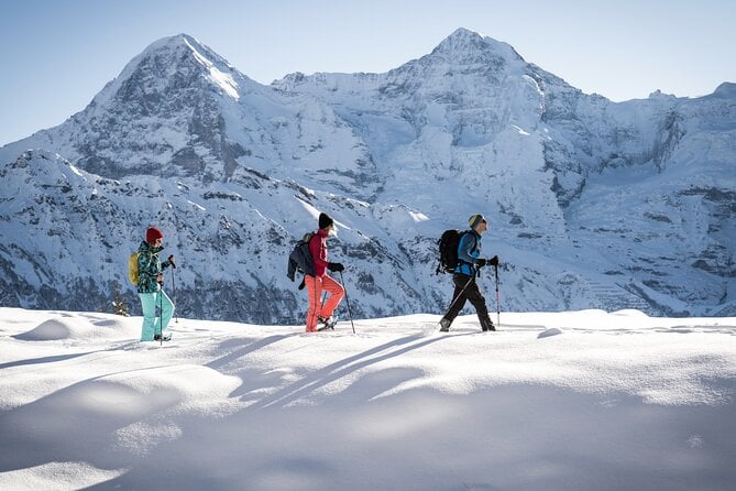 Swiss Alps Tour - Interlaken