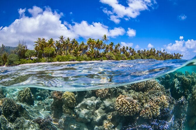Bora Bora Lagoon Tour Escape