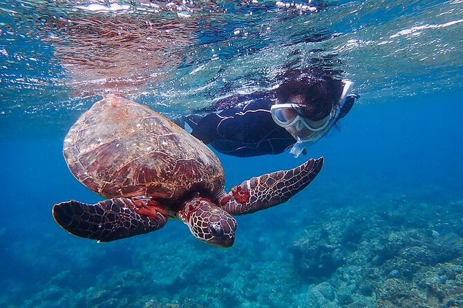 Boat Snorkeling