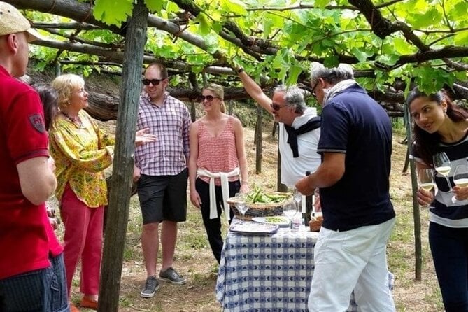 Amalfi Wine Tasting