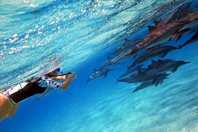 Sataya Dolphin House Snorkeling