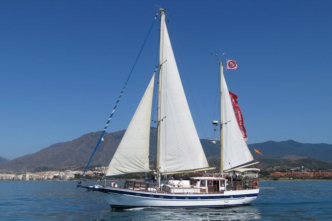 Estepona Dolphin Tour