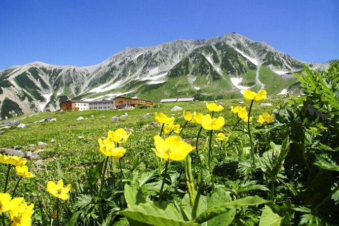 Tateyama-Kurobe Alpine Route