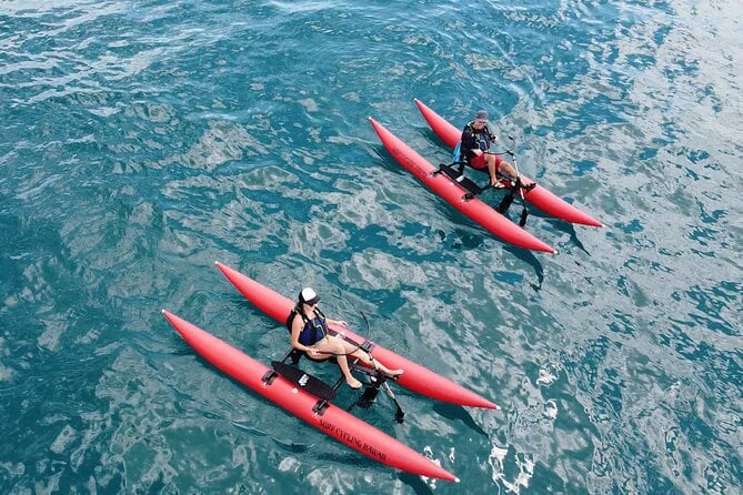 Maui Private Tour