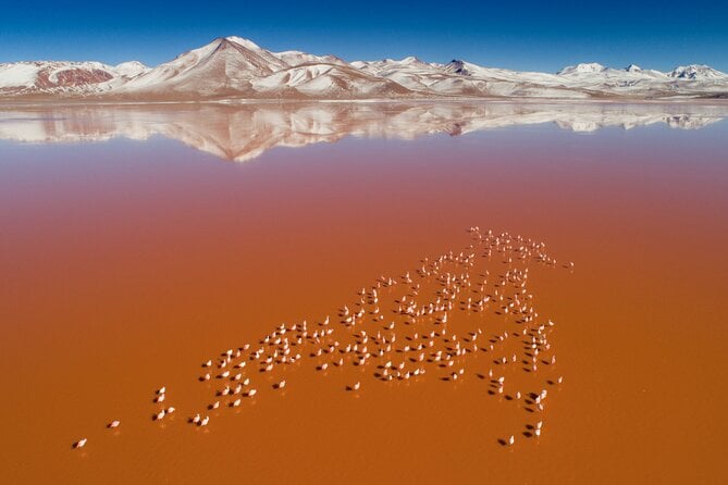Uyuni Salt Flats Tour