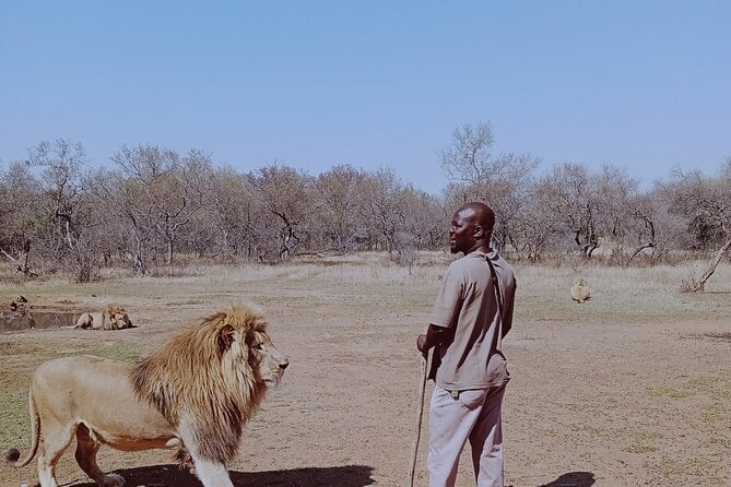 Rhino & Lion Park Day Tour