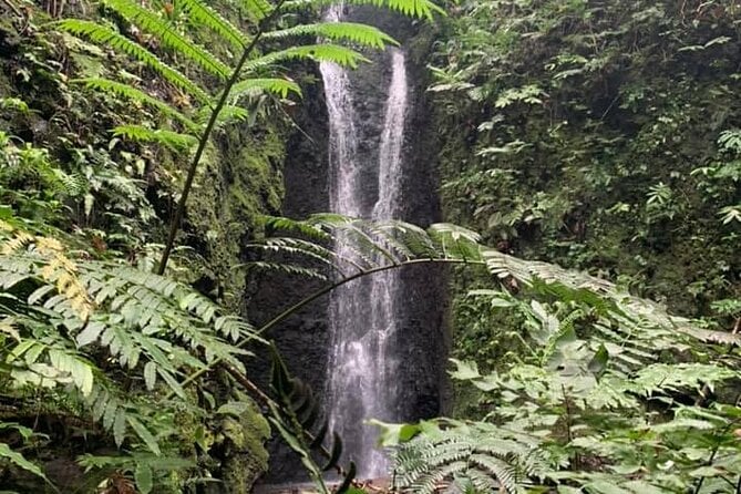Afareaitu Waterfall Escape