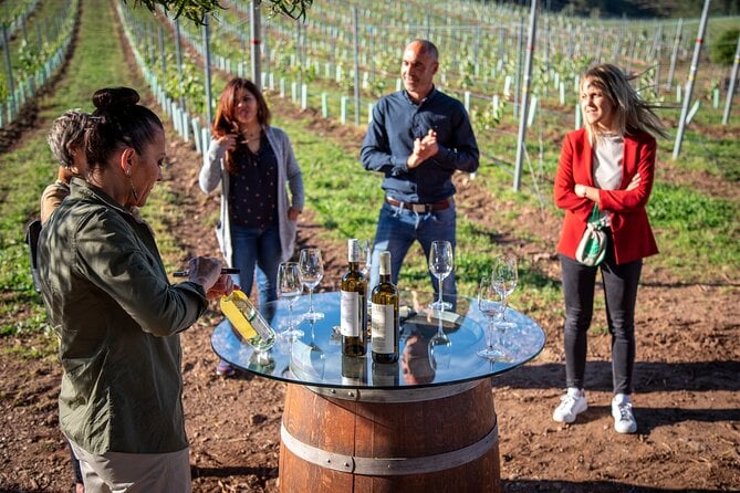 Albariño Wine Tour in Santiago