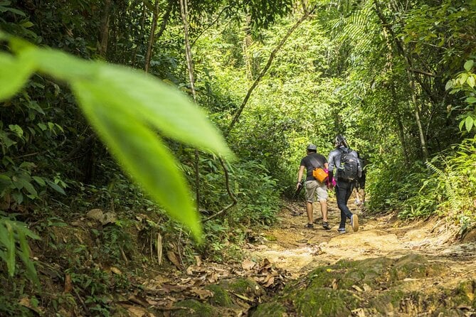 Khao Phra Thaeo National Park Trek