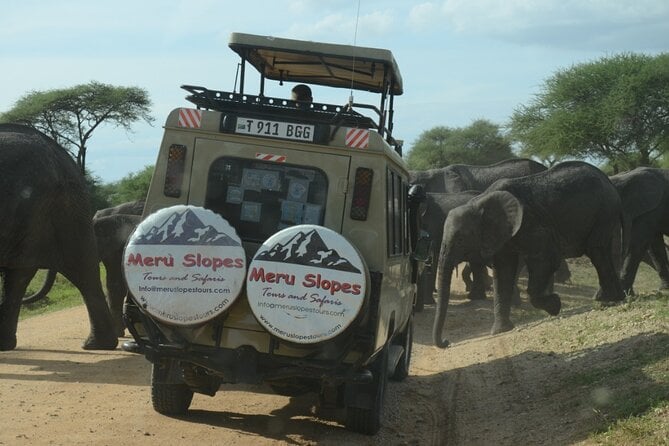 Tarangire National Park Safari