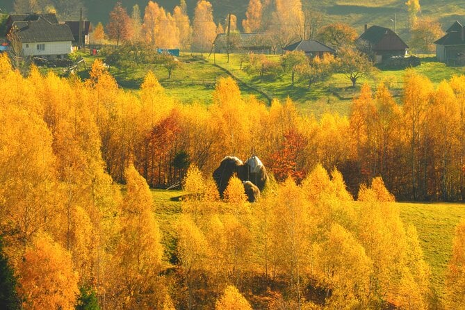 Brasov Mountain Villages Day Tour