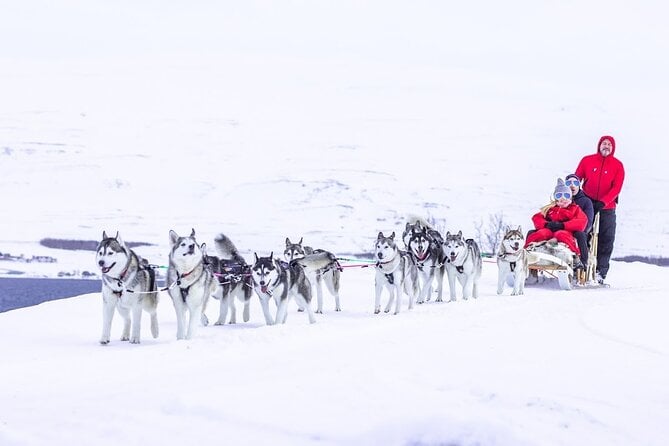 Hike with Huskies in Akureyri