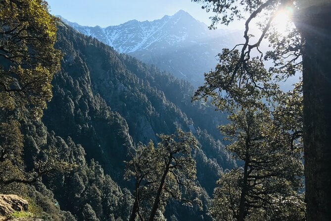 Triund Trek