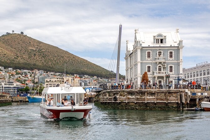 Cape Town Catamaran Cruise