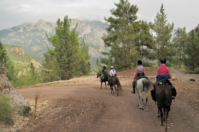 Bodrum Horseback Riding Adventure