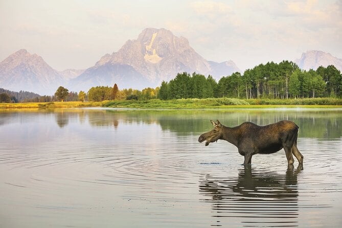 Grand Teton Sunset Tour