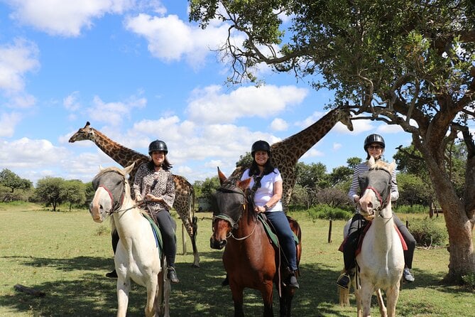 Hartbeespoort Horseback Safari