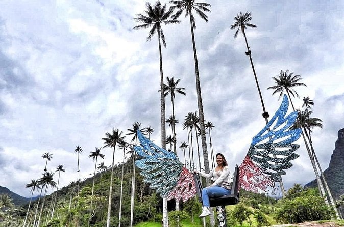 Cocora Valley Tour
