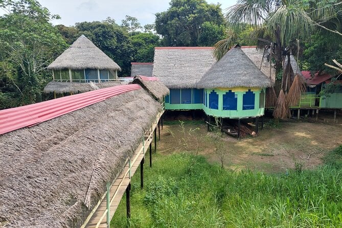 Amazon Wildlife Excursions