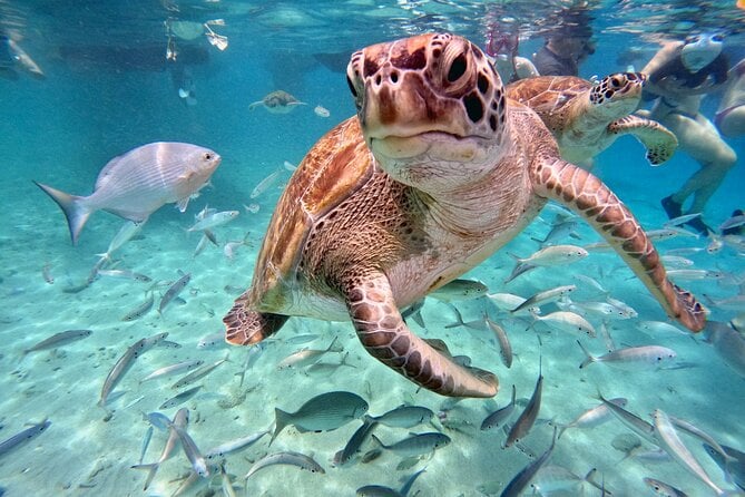 Curacao Water Adventure
