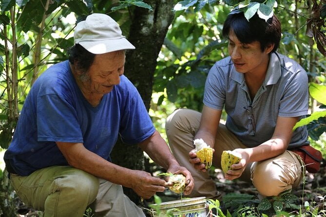 Cacao Farm Experience Cusco