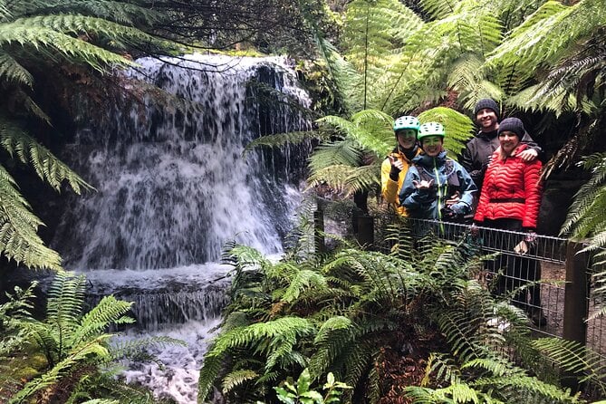 Mt Wellington Summit Bike Tour