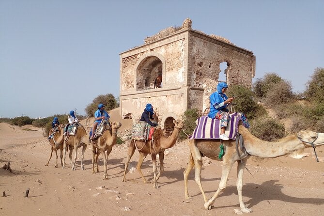 Essaouira Camel Ride
