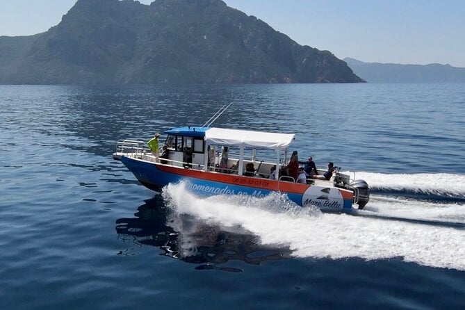Scandola Reserve Boat Tour