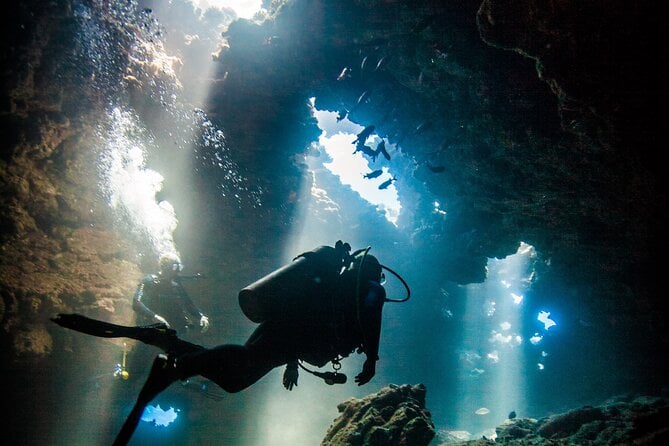 Maui Scuba Diving Adventure