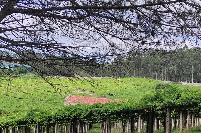 Rias Baixas Private Shore Tour