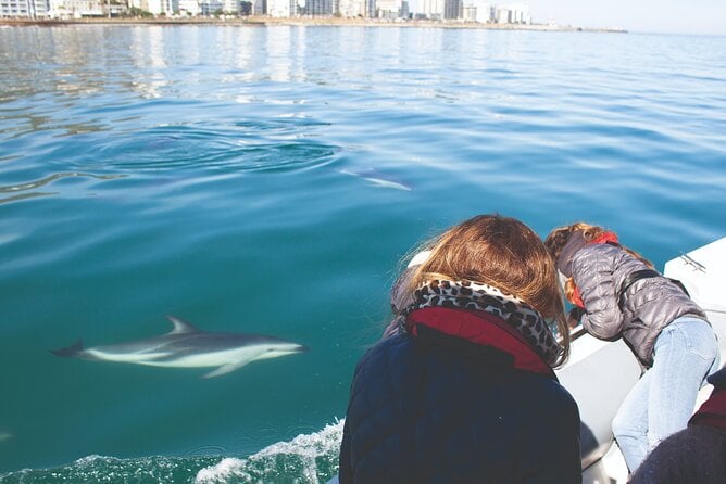 Cape Town Ocean Safari