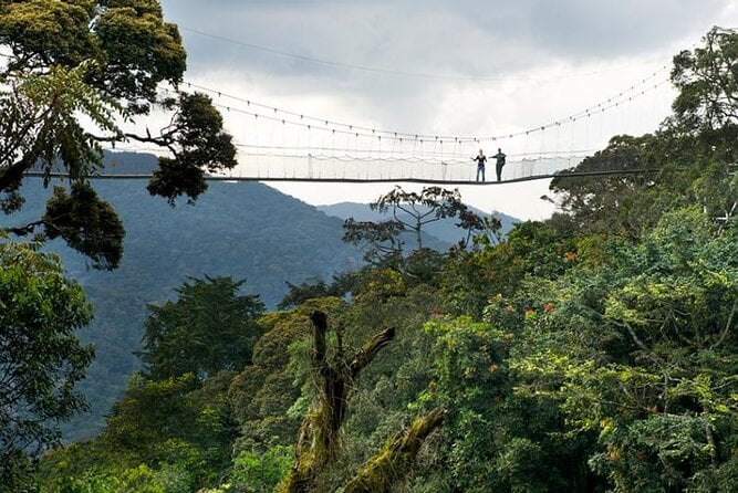 Nyungwe National Park Tour